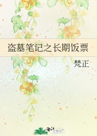 盜墓筆記之長期飯票