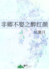 非卿不娶之醉紅顏