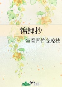 锦鲤抄