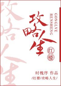 （紅樓同人）攻略人生