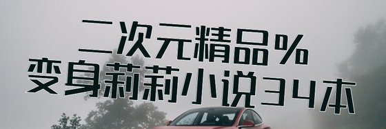 二次元精品%變身莉莉小說34本